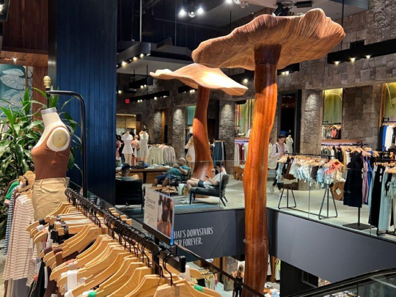 Aritzia