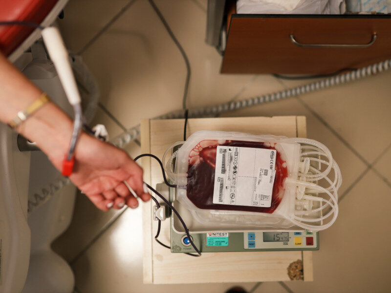 sangre