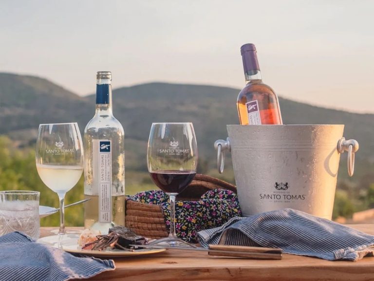 Vinos mexicanos premiados en el mundo, Concurso Mundial de Bruselas, Mejores vinos mexicanos, Bodega Santo Tomás historia y vinos, Viña Coronado vinos excepcionales, México Selection by CMB, Vinos galardonados en el Concurso Mundial de Bruselas, Vinos destacados en el mercado mundial, Vinos de calidad de Baja California, Vinícolas en México, Viñedos reconocidos en México, Mejores variedades de vinos mexicanos, Medallas de oro en vinos mexicanos, Concurso vitivinícola internacional en México, Vinos sorprendentes de Guanajuato, Vinos únicos de Viñedos Santo Domingo, Cultivo de vid en México, Innovación en la industria vinícola mexicana, Vinos de excelencia en el Valle de Guadalupe, Eddy Warman de Noche