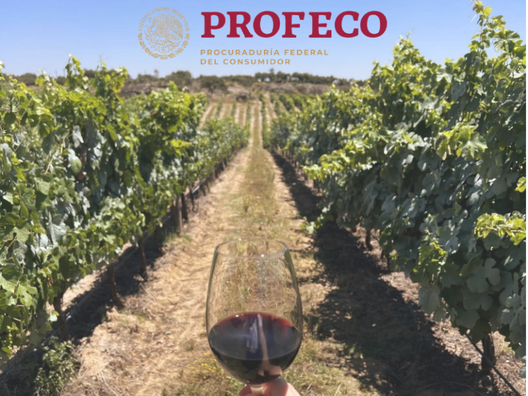 profeco, análisis sensorial, 19 preferitti, expertos culinarios, panel de degustación, críticos gastronómicos, chefs especializados, sommeliers, analistas de alimentos, catadores profesionales, investigadores sensoriales, evaluación de alimentos, selección preferitti, pruebas