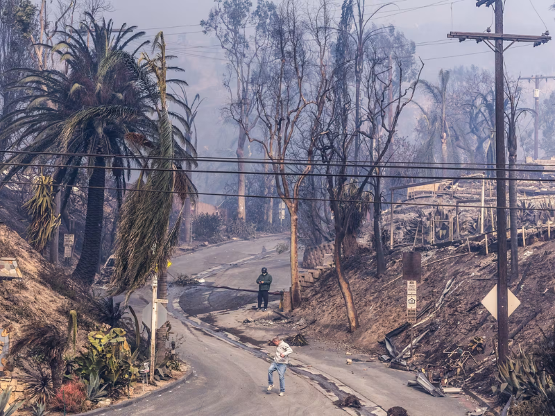 famosos, incendio