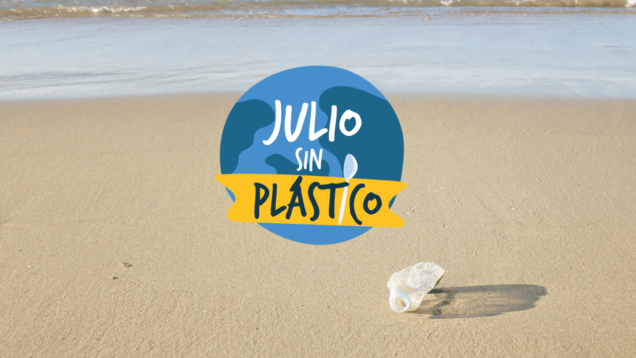 julio sin plástico, alternativas sostenibles, reducción de residuos, contaminación plástica, océanos limpios, reciclaje creativo, conciencia ambiental, educación ambiental, impacto del plástico, microplásticos, reciclaje innovador, alternativas al PET, reducción de desechos, calles pavimentadas con PET, plásticos biodegradables, iniciativas globales, futuro sin plástico, impacto en la fauna marina, sostenibilidad diaria, consumo responsable