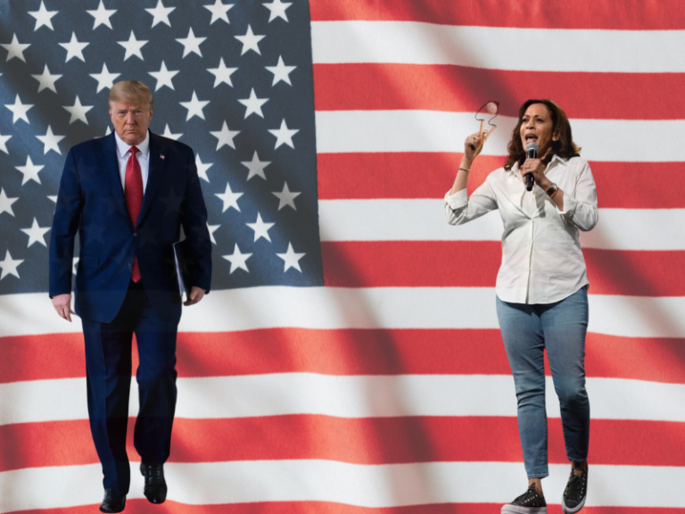 vicepresidente, reemplazar presidente, responsabilidad, informes, directores, instrucciones, figura discreta, administración, Theodore Roosevelt, Al Gore, cambio climático, Premio Nobel, Joe Biden, políticas domésticas, Kamala Harris, papel efectivo, decisiones firmes, donantes, elecciones, Trump, política internacional, seguridad, candidatura presidencial, partido demócrata, situación dividida, seguidores leales, campaña, David y Goliat, discurso progresista, incertidumbre, turbulencia política, knockout, presión política, comunicación efectiva.