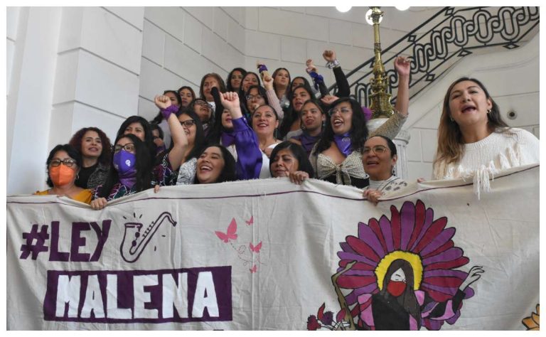 Ley Malena