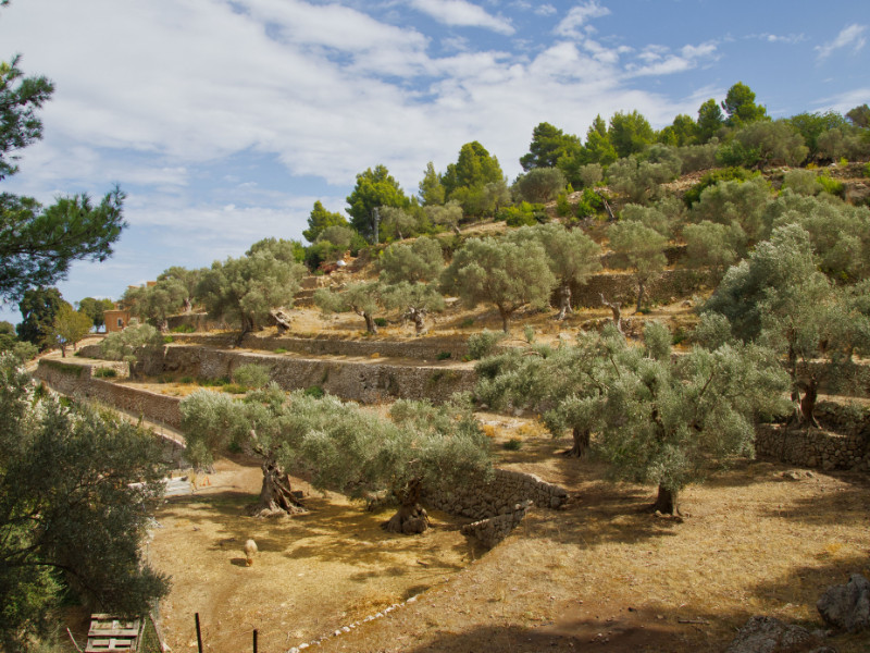 creta
