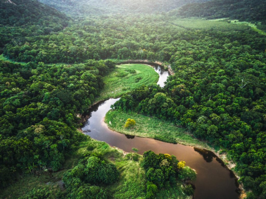 amazonas
