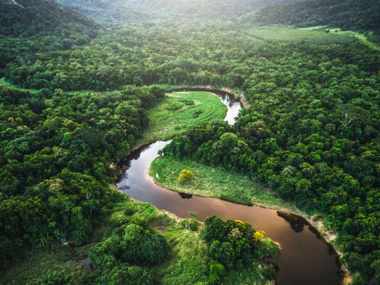 amazonas