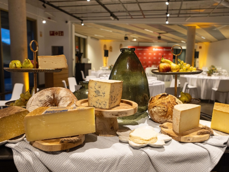 cine gastronómico, queso y cultura, documental filosófico, Culinary Zinema, San Sebastián Film Festival, Shelf Life, envejecimiento y maduración, Jim Stillwaggon, reflexión sobre la vida, microorganismos en la leche, gastronomía y filosofía, quesos del mundo, la muerte y el queso, quesos artesanales, vida y descomposición, quesos y tabúes, el queso como espejo, sabores únicos, proceso de maduración, ritos alimentarios, cine y gastronomía