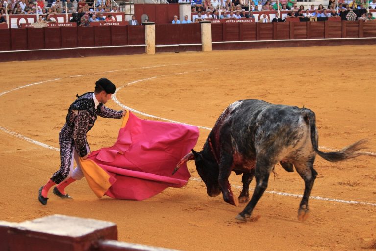 Tauromaquia
