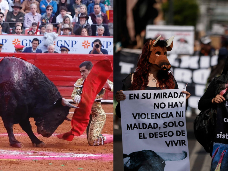 libre pensar, controversia social, aborto, eutanasia, religión, legalización de drogas, corridas de toros, protestas, antitaurinos, protaurinos, Suprema Corte de Justicia, juez federal, amparo, consulta popular, democracia participativa, tradición cultural, identidad, respeto, derechos, sociedad compasiva, reflexión, madurez social, eddy warman, eddy warman tv, eddy warman de noche,