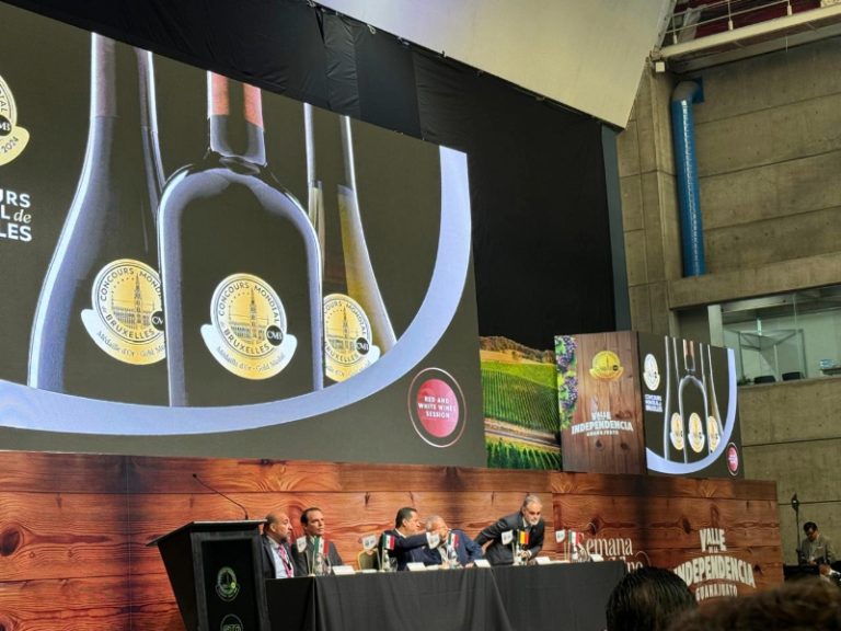 León, Guanajuato, vino, Concours Mondial de Bruxelles, capital mundial del vino, catadores, muestras de vino, récord Guinness, copa de vino más grande, México, eventos de vino, Sandra Fernández, sommelier mexicana, poliforum, degustación de vinos, evaluación de vinos, turismo en Guanajuato, familia Havaux, historia del vino, Mexico Selection, Carlos Borboa, estadística medallera