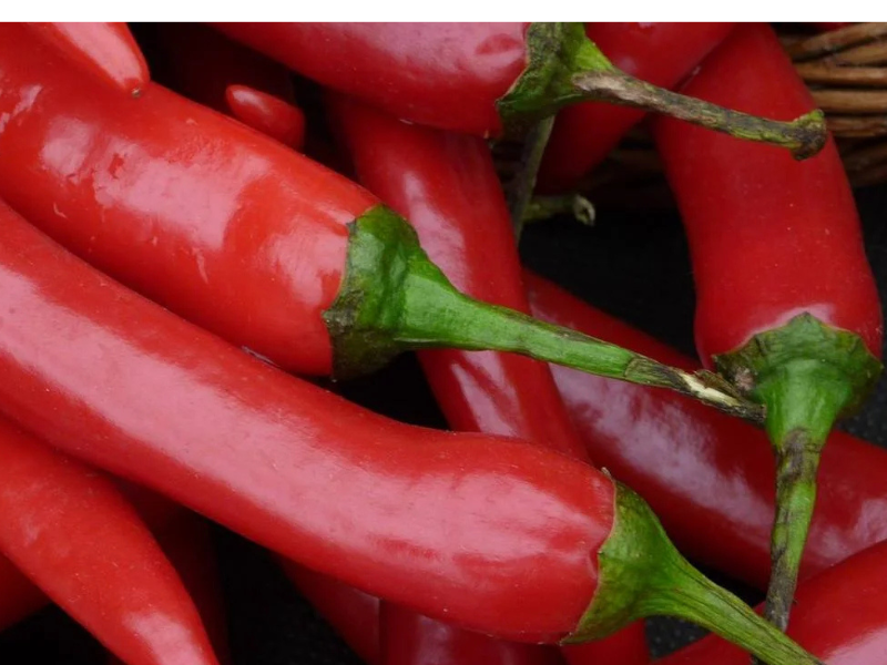 piri piri, chile portugués, cocina portuguesa, gastronomía africana, mestizaje culinario, alheira de Mirandela, embutido portugués, Nando’s, salsa picante, tradición culinaria, chile Capsicum frutescens, especias coloniales, comida tradicional, influencia africana, caldeirada, camarones al piri piri, pollo al churrasco, recetas portuguesas, globalización gastronómica, sabores del mundo