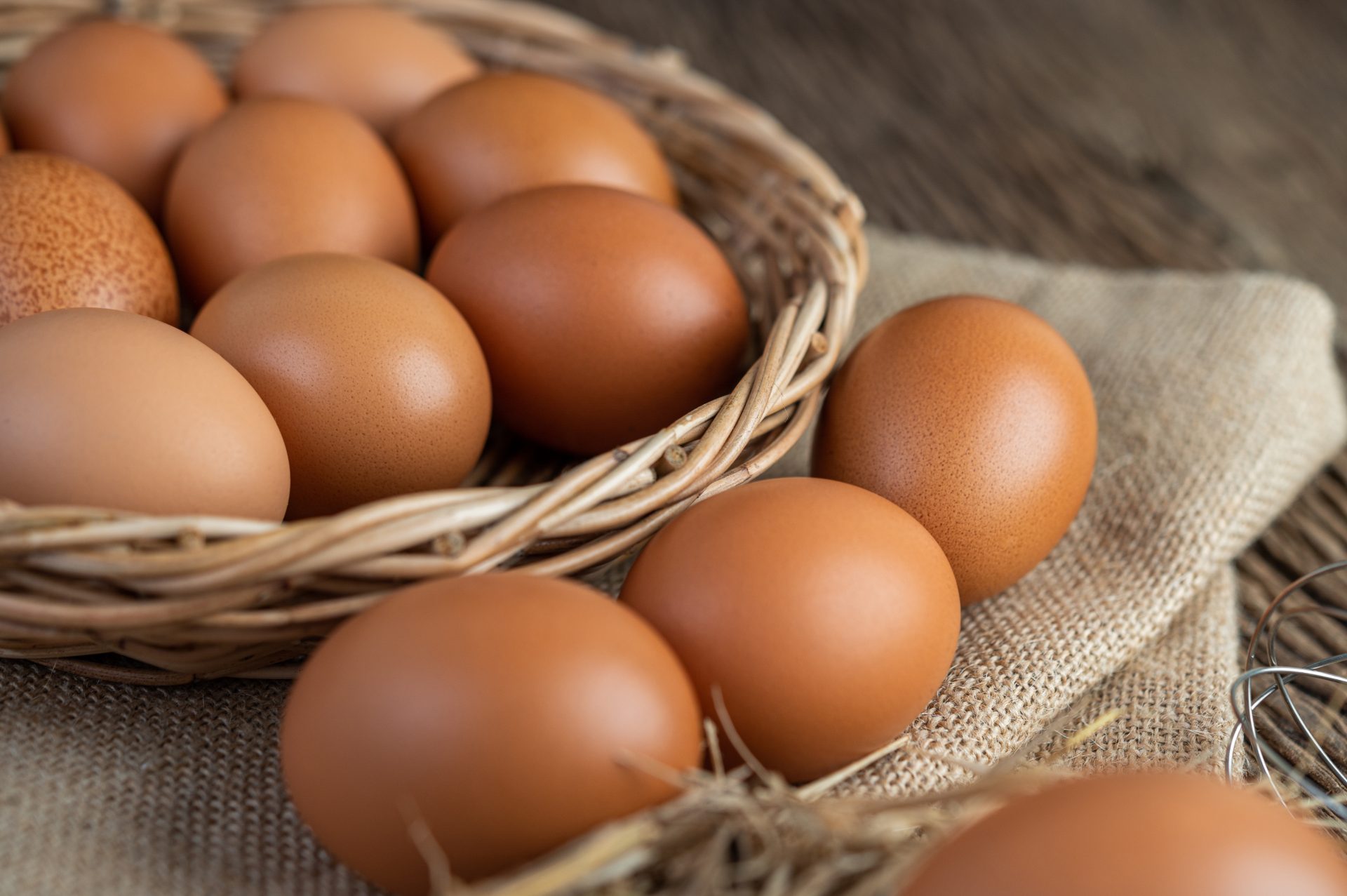 Por qué los huevos marrones cuestan más que los huevos blancos? La culpa es del ave - Eddy Warman