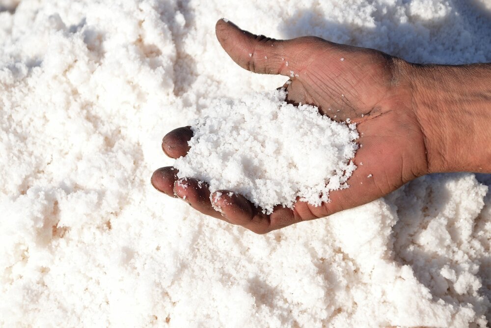 sal, sal del Himalaya, beneficios de la sal para la salud, sal Maldon gourmet, sal de Guérande en cocina, propiedades nutricionales de la sal, consumo moderado de sal, sal y presión arterial, sal marina versus sal de mesa, flor de sal culinaria, sal de escamas hawaiana, lámparas de sal del Himalaya, sal rosa propiedades, origen milenario de la sal, elaboración artesanal de sal, sal y equilibrio de pH, minerales en la sal, sal de escamas gourmet, sal en la alta cocina, reducción de sodio en dieta, purificación del aire con sa, eddy warman, eddy warman de noche, eddy warman tv,