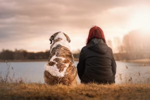 Perros