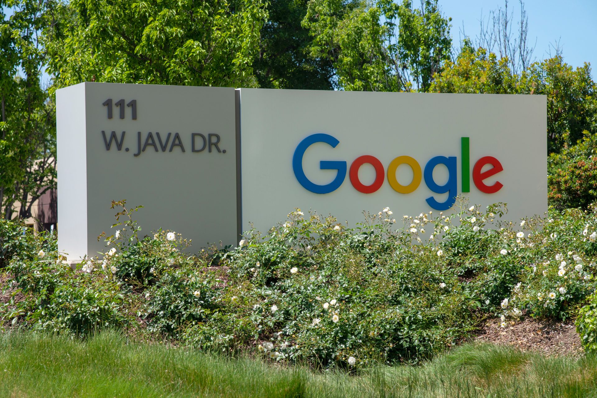 Cuenta inactiva, Google, Dos años, Iniciar sesión, Borrará, Viernes, Conservar, Información vital, Política, Cuentas abandonadas, Seguridad, Verificación en dos pasos, Contraseñas no vigentes, Autenticación de dos pasos, Control de seguridad, Avisos de Google, Contenido, Google Drive, Google Docs, Gmail