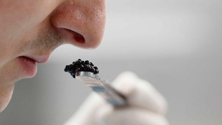 aromas, conexión olfativa, memorias sensoriales, aromas y recuerdos, taller de aromas, Carolina Riaño, experiencias olfativas, evocaciones olfativas, aromas nostálgicos, memorias aromáticas, sentidos y memoria, aromas culinarios, recuerdos gastronómicos, evocaciones de aromas, memorias olfativas, historias olfativas, recuerdos sensoriales, sensaciones olfativas, conexión aroma-memoria, memoria y olfato, recuerdos y aromas