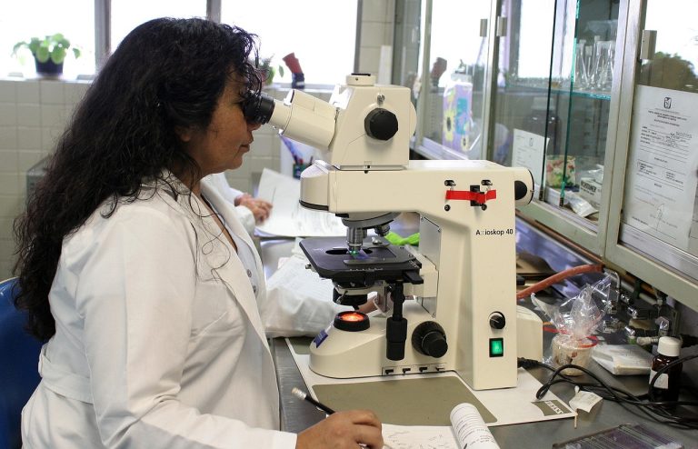 Cientificas