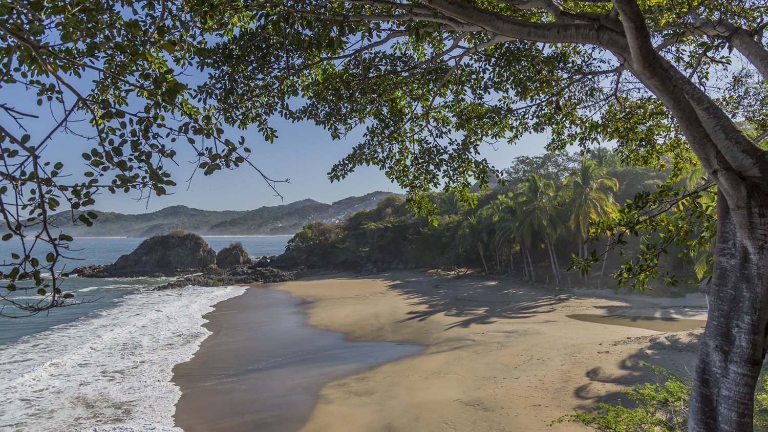 Puerto Vallarta, Sayulita, sol, olas, selva, aventura, Jalisco, México, Bahía de Banderas, naturaleza, cultura, playas doradas, calles empedradas, cascadas secretas, Nayarit, Pueblo Mágico, surf, vibrantes calles, espíritu libre, ecoturismo, Islas Marietas, Parque Nacional, biodiversidad marina, tirolesa, Sierra Madre, Stand Up Paddle, SUP, Playa Los Muertos, Villa Los Corales, Sayulita Life, Vallarta Lifestyles, Vallarta Adventures, Danharmon, islasmarietas.com, Wildmex, aventura extrema, vida marina, eddy warman, eddy warman tv, eddy warman de noche, eddy warman noticias,