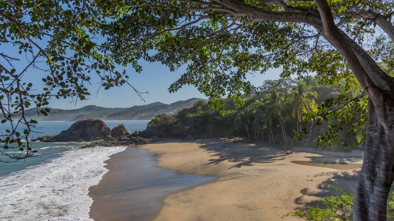 Puerto Vallarta, Sayulita, sol, olas, selva, aventura, Jalisco, México, Bahía de Banderas, naturaleza, cultura, playas doradas, calles empedradas, cascadas secretas, Nayarit, Pueblo Mágico, surf, vibrantes calles, espíritu libre, ecoturismo, Islas Marietas, Parque Nacional, biodiversidad marina, tirolesa, Sierra Madre, Stand Up Paddle, SUP, Playa Los Muertos, Villa Los Corales, Sayulita Life, Vallarta Lifestyles, Vallarta Adventures, Danharmon, islasmarietas.com, Wildmex, aventura extrema, vida marina, eddy warman, eddy warman tv, eddy warman de noche, eddy warman noticias,