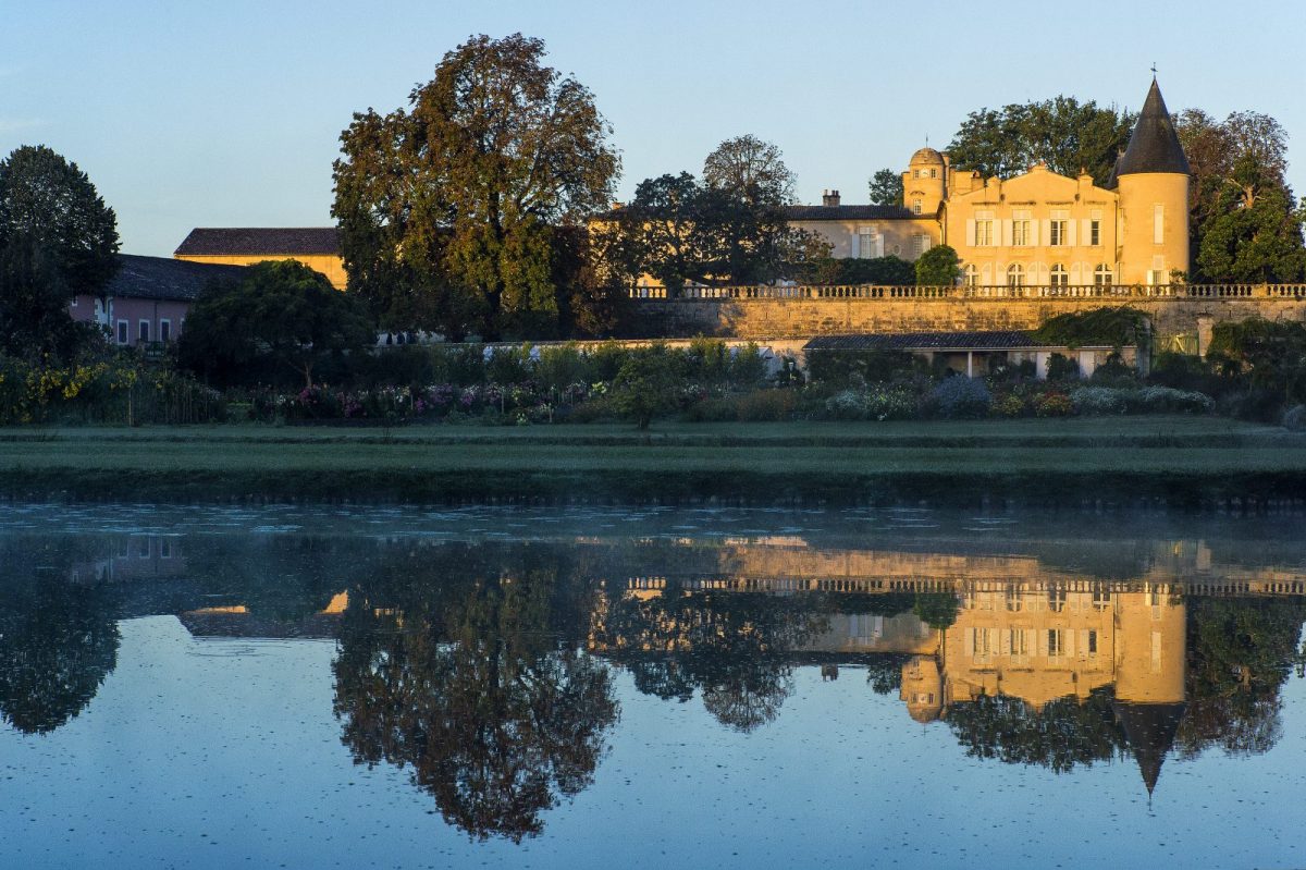 Explorando viñedos franceses, viaje enológico, experiencias de cata, historia de Champagne, bodegas de Bordeaux, secretos de Reims, vinos biodinámicos, rutas del vino, cultura del vino, uvas olvidadas, enología francesa, patrimonio vinícola, vinos de Borgoña, innovación en viticultura, cambio climático y viñedos, colecciones de vino, cavas subterráneas, viticultura sostenible, terroir de Languedoc, tradiciones vinícolas
