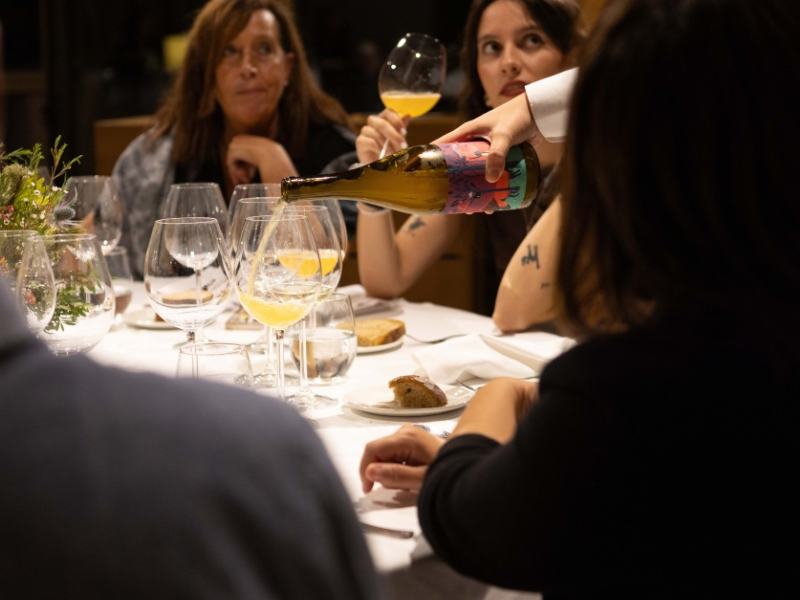 cine gastronómico, queso y cultura, documental filosófico, Culinary Zinema, San Sebastián Film Festival, Shelf Life, envejecimiento y maduración, Jim Stillwaggon, reflexión sobre la vida, microorganismos en la leche, gastronomía y filosofía, quesos del mundo, la muerte y el queso, quesos artesanales, vida y descomposición, quesos y tabúes, el queso como espejo, sabores únicos, proceso de maduración, ritos alimentarios, cine y gastronomía