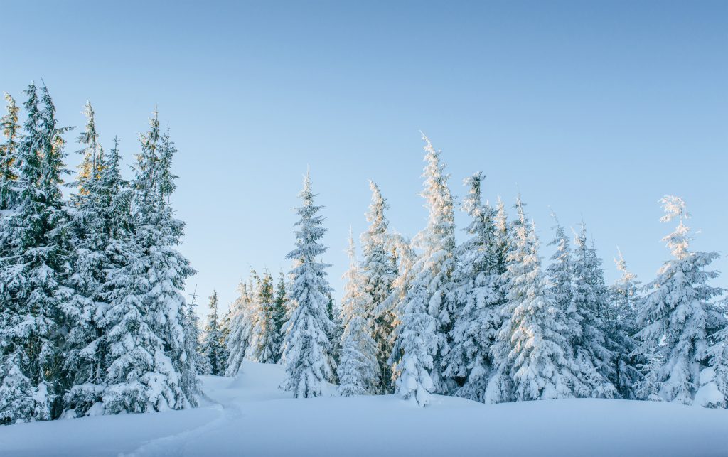 Invierno