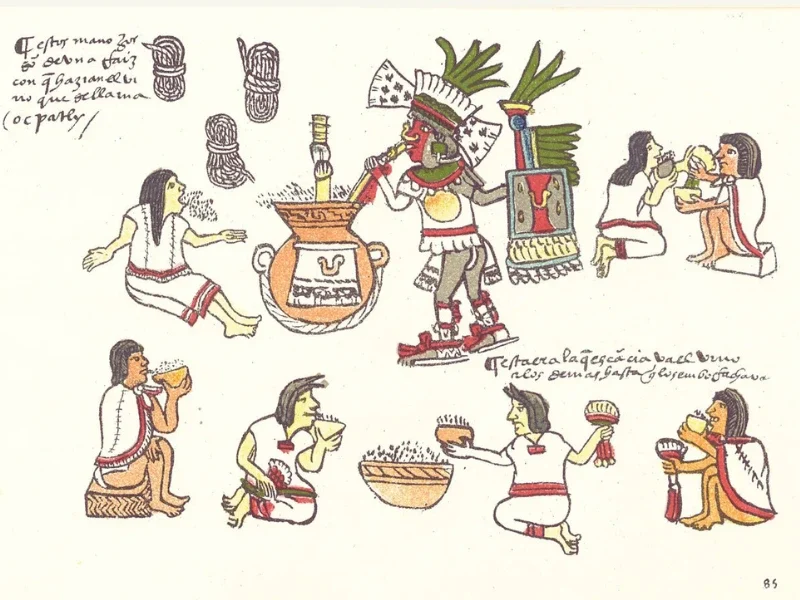fermentos prehispanicos
