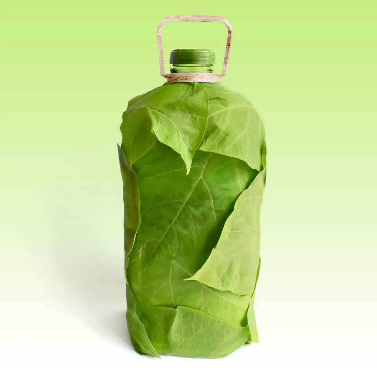 julio sin plástico, alternativas sostenibles, reducción de residuos, contaminación plástica, océanos limpios, reciclaje creativo, conciencia ambiental, educación ambiental, impacto del plástico, microplásticos, reciclaje innovador, alternativas al PET, reducción de desechos, calles pavimentadas con PET, plásticos biodegradables, iniciativas globales, futuro sin plástico, impacto en la fauna marina, sostenibilidad diaria, consumo responsable