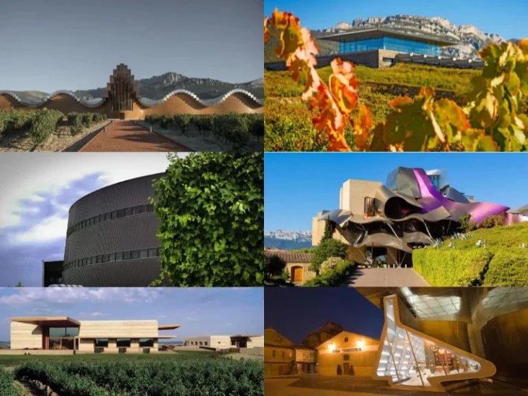 arquitectura, vino
