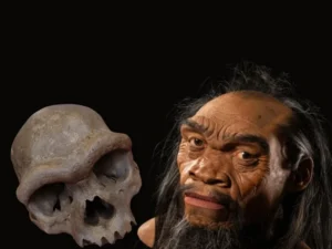 neandertal
