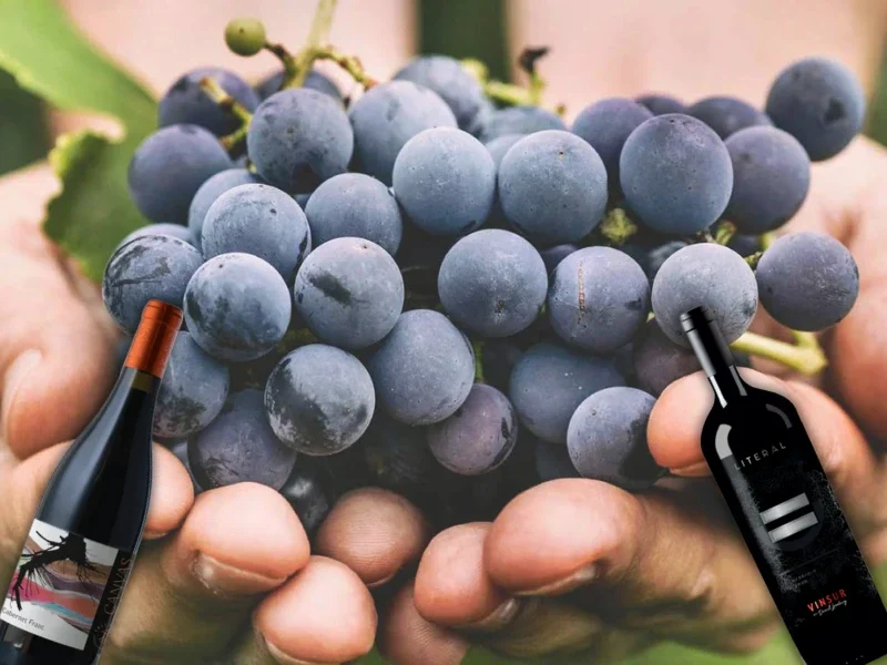vino mexicano
