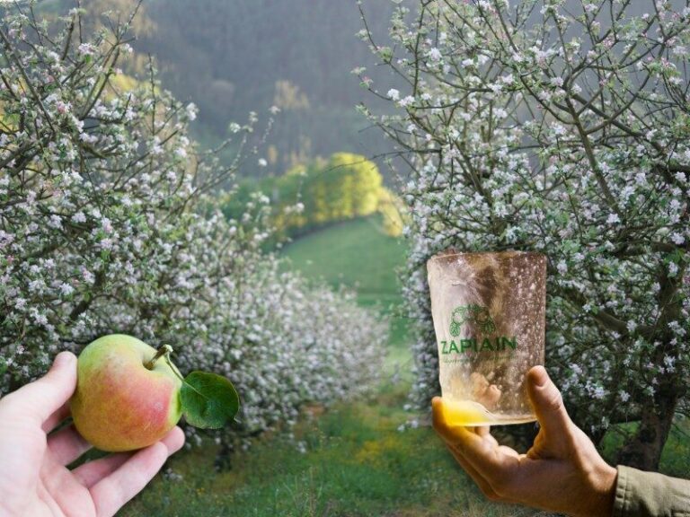 sidra