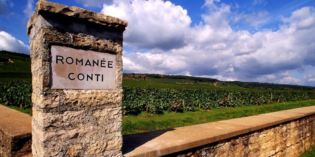 Explorando viñedos franceses, viaje enológico, experiencias de cata, historia de Champagne, bodegas de Bordeaux, secretos de Reims, vinos biodinámicos, rutas del vino, cultura del vino, uvas olvidadas, enología francesa, patrimonio vinícola, vinos de Borgoña, innovación en viticultura, cambio climático y viñedos, colecciones de vino, cavas subterráneas, viticultura sostenible, terroir de Languedoc, tradiciones vinícolas