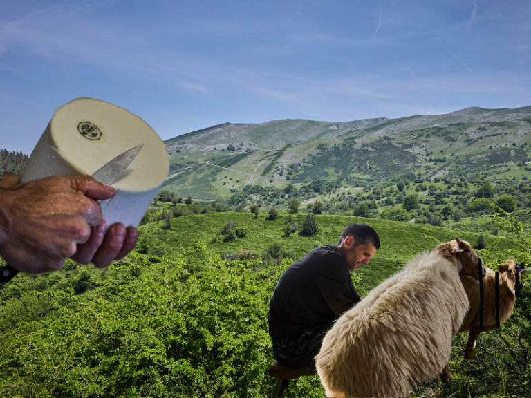 Ataun, Parque Natural de Aralar, ovejas latxa, paisaje pastoral, queso Mendiko Gazta, DO Idiazábal, Ruraltxa! 2024, ganadería extensiva, producción artesanal, sostenibilidad, conservación, Goierri, reserva natural, colmenares, pastores, trashumancia, Red Natura 2000, producción limitada, queso de montaña, concurso mundial, desarrollo rural, montaña,