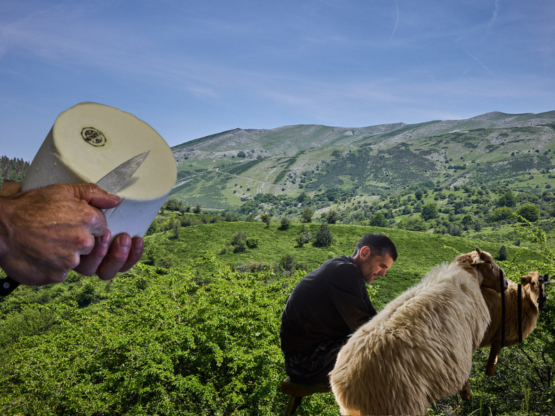 Ataun, Parque Natural de Aralar, ovejas latxa, paisaje pastoral, queso Mendiko Gazta, DO Idiazábal, Ruraltxa! 2024, ganadería extensiva, producción artesanal, sostenibilidad, conservación, Goierri, reserva natural, colmenares, pastores, trashumancia, Red Natura 2000, producción limitada, queso de montaña, concurso mundial, desarrollo rural, montaña,