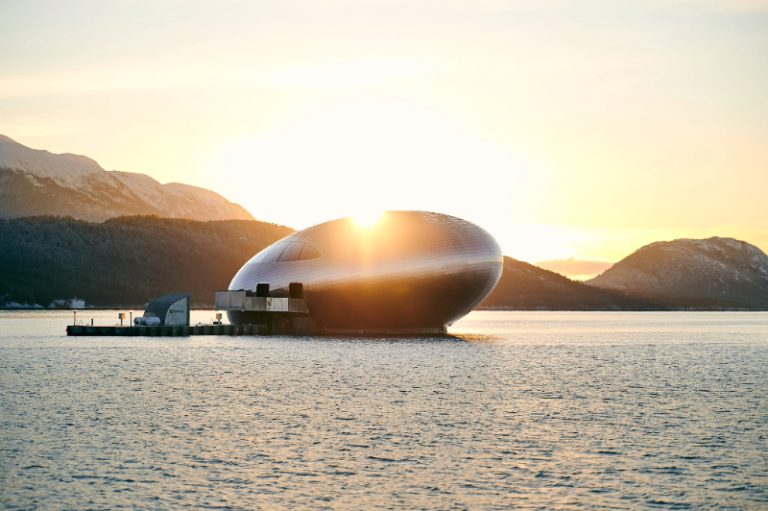 Gastronomía del océano, Salmon Eye, Futuro consciente, Sostenibilidad marina, Responsabilidad ambiental, Elecciones conscientes, Preservación del océano, World Ocean Review, Medio ambiente marino, Amenazas oceánicas, Pesca ilegal, Latinoamérica, Protección marina, Turismo irresponsable, Ecosistema marino, Centro cultural-restaurante, Fiordo de Hardanger, Cría de pescado, Restaurant Iris, Ingredientes sostenibles, Eddy Warman, Eddy Warman TV, Eddy Warman de Noche, Eddy Warman Noticias,