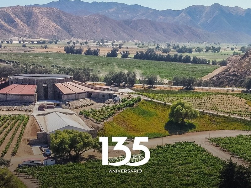 Vinos mexicanos premiados en el mundo, Concurso Mundial de Bruselas, Mejores vinos mexicanos, Bodega Santo Tomás historia y vinos, Viña Coronado vinos excepcionales, México Selection by CMB, Vinos galardonados en el Concurso Mundial de Bruselas, Vinos destacados en el mercado mundial, Vinos de calidad de Baja California, Vinícolas en México, Viñedos reconocidos en México, Mejores variedades de vinos mexicanos, Medallas de oro en vinos mexicanos, Concurso vitivinícola internacional en México, Vinos sorprendentes de Guanajuato, Vinos únicos de Viñedos Santo Domingo, Cultivo de vid en México, Innovación en la industria vinícola mexicana, Vinos de excelencia en el Valle de Guadalupe, Eddy Warman de Noche