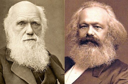 Darwin Marx