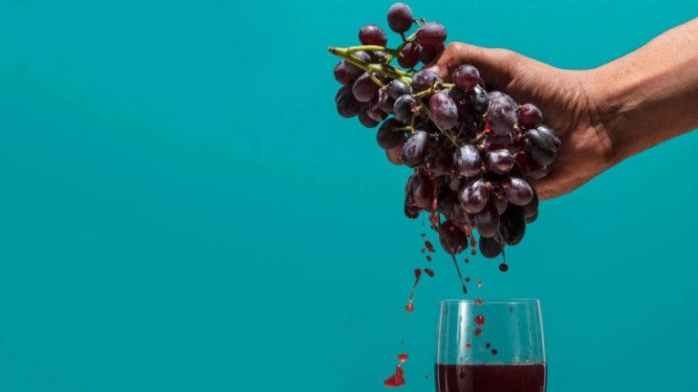 vitivinicultura en México, vinos naturales, vinos orgánicos, prácticas sostenibles, mínima intervención, autenticidad en vinos, calidad vitivinícola, producción vinícola sostenible, vinos biodinámicos, diferencias entre vinos orgánicos y naturales, legislación de vinos orgánicos, bodegas mexicanas orgánicas, principios de la biodinámica, vinos naturales y su filosofía, impacto ambiental en la viticultura, Valle de Guadalupe, Valle de Parras, prácticas vitivinícolas en Guanajuato, compromiso con la sostenibilidad, evolución de la vitivinicultura mexicana, vinos mexicanos, organicos, naturales, eddy warman, eddy warman tv, eddy warman de noche, eddy warman gastronomia,